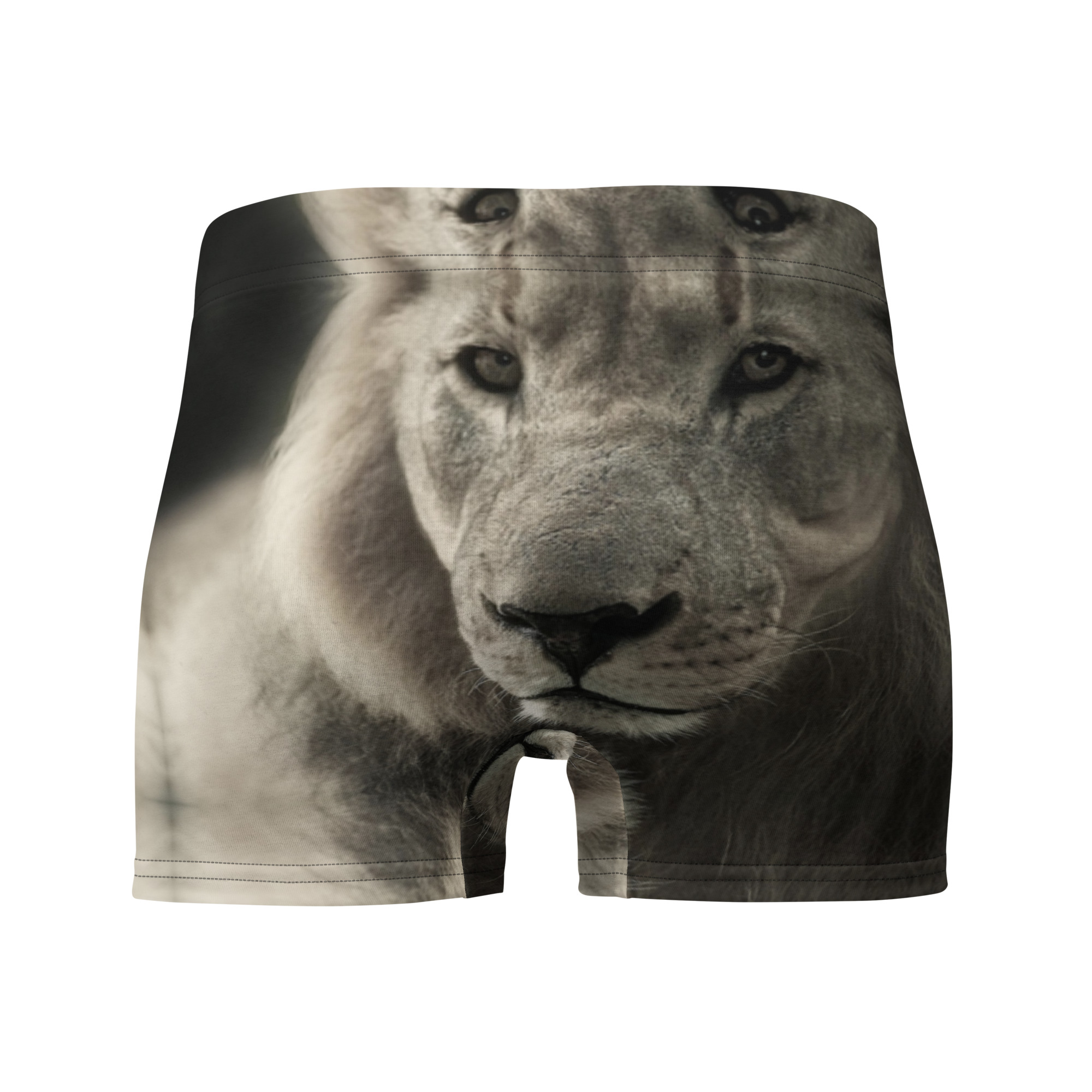 Boxer Briefs - Image 2