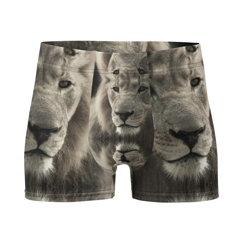 Boxer Briefs