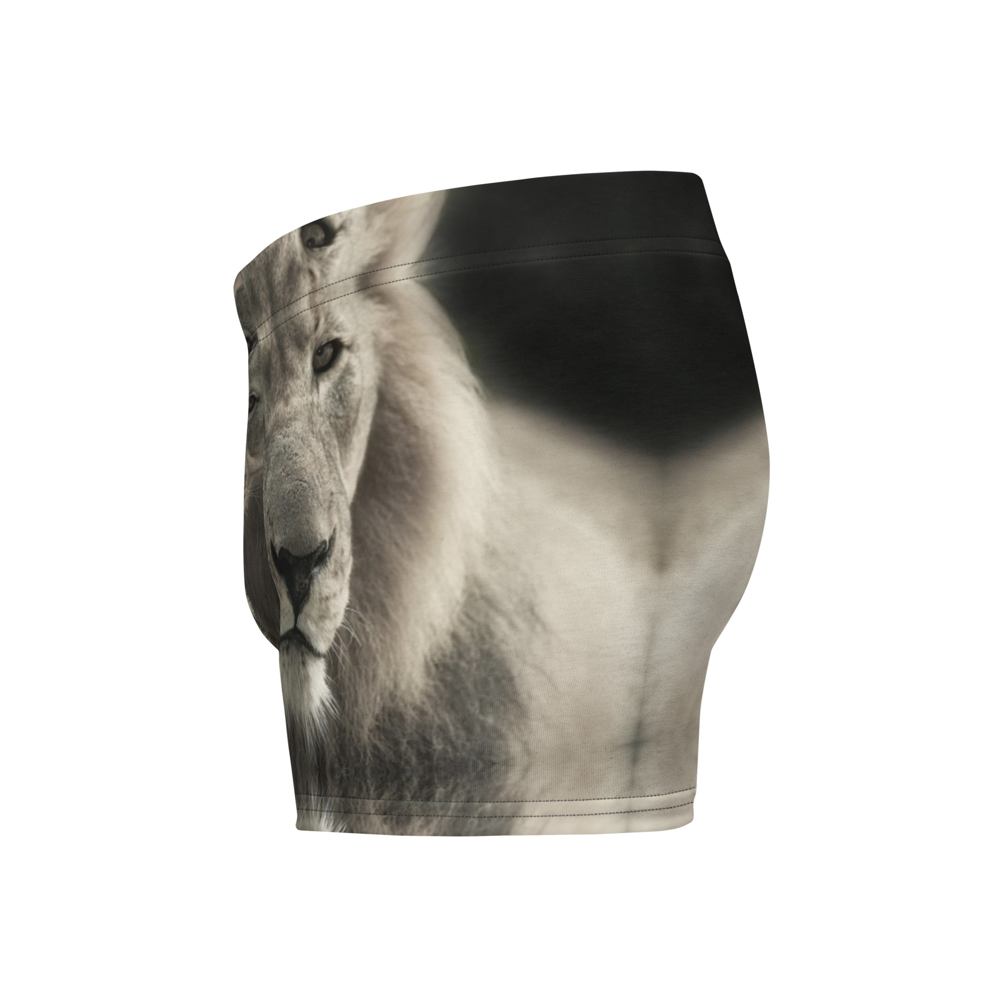 Boxer Briefs - Image 4