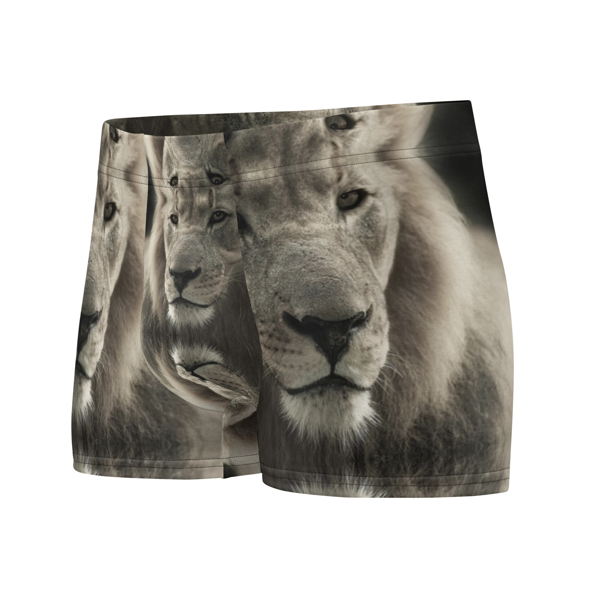 Boxer Briefs - Image 5