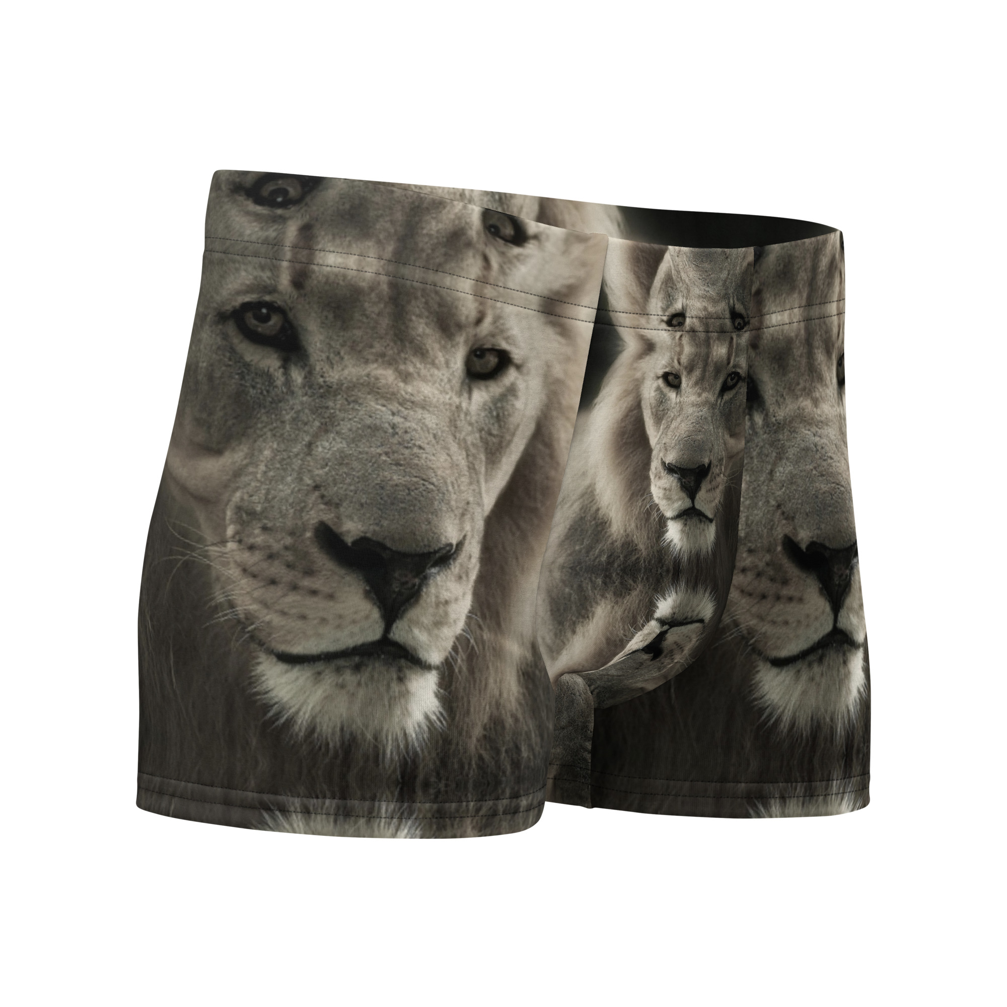 Boxer Briefs - Image 6