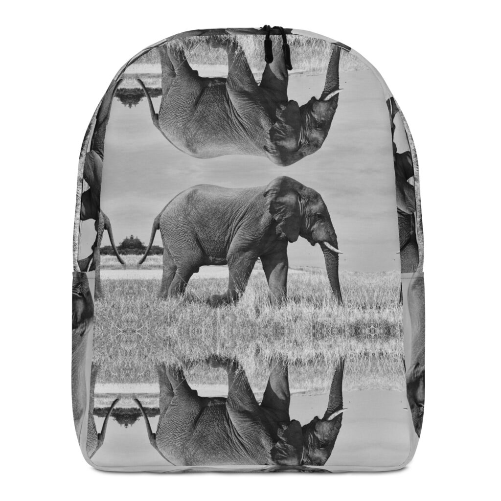 Minimalist Backpack
