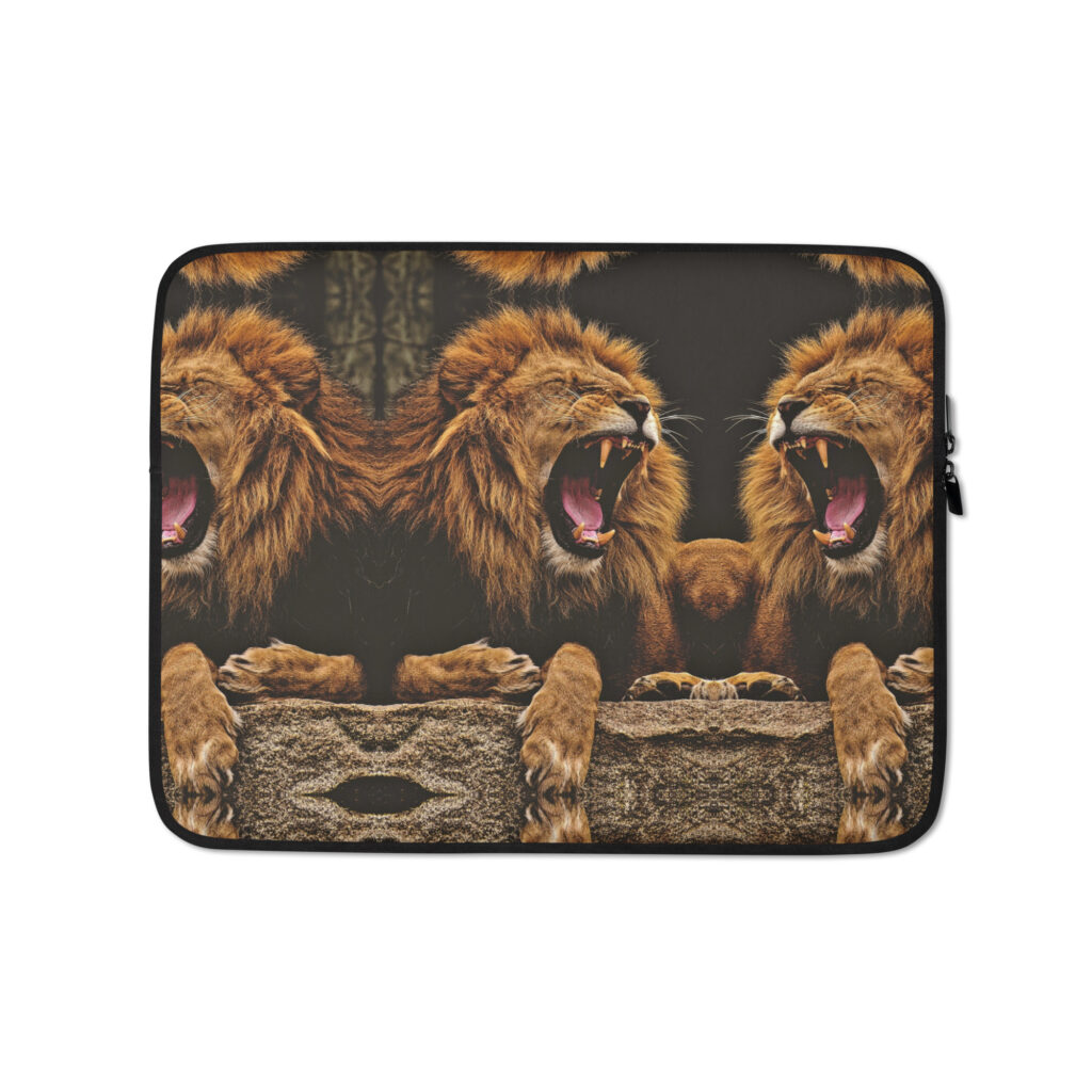 Laptop Sleeve
