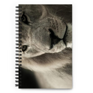 Spiral notebook