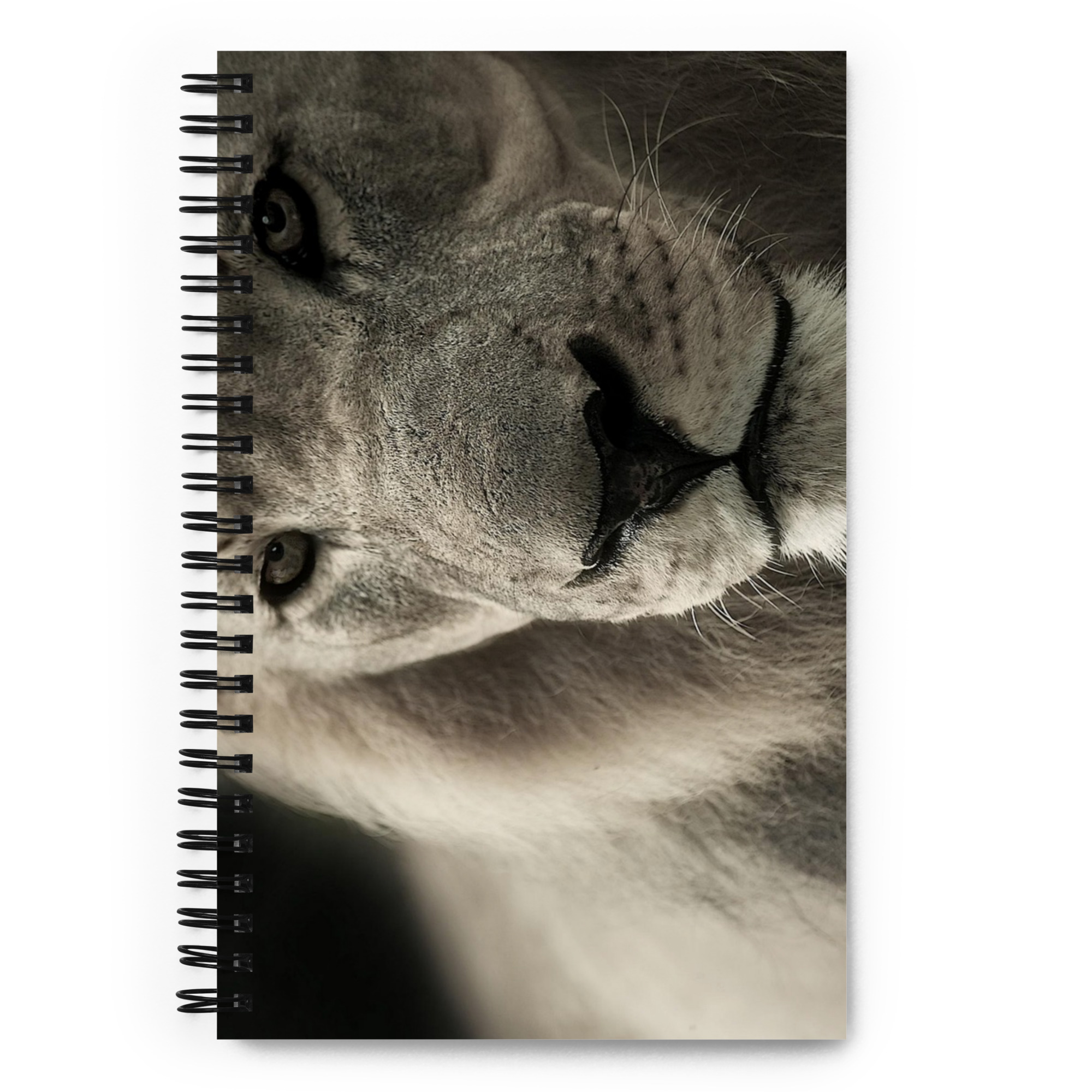 Spiral notebook