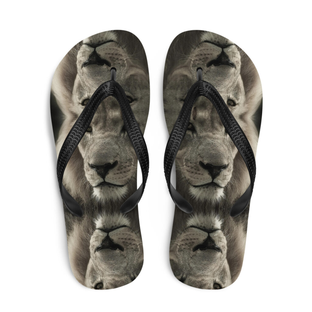 Flip-Flops