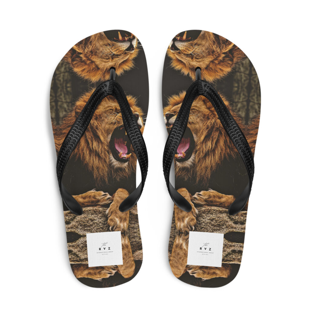 Flip-Flops