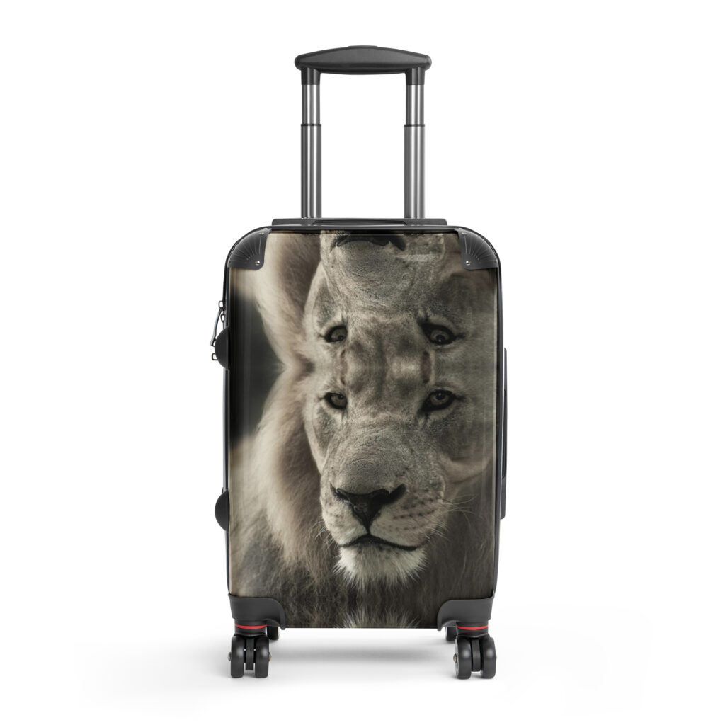 Hard-shell suitcase